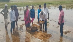 కొల్లూరు మండలం అనంతపురం గ్రామంలో వర్షానికి నీట మునిగిన ధాన్యం గుట్టలను పరిశీలిస్తున్న సిపిఎం రాష్ట్ర కార్యదర్శి శ్రీనివాస్ రావు, తదితరులు