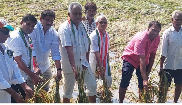 congress visit crop damage
