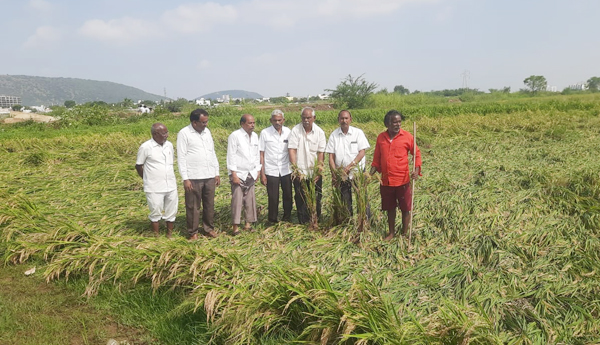 cpm leaders visit crop damage