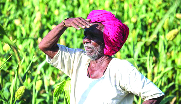 farmers waiting for seeds input subsidy in ycp govt