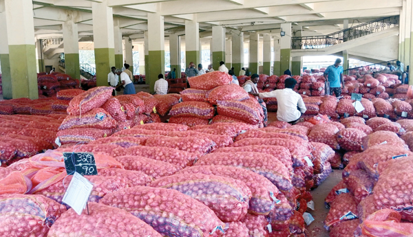 Onion is a price hit for the farmer
